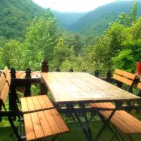 رزرو کلبه چوبی ویلا جنگلی مازندران سوادکوه لفور|اجارهٔ کوتاه‌مدت ویلا و باغ|آلاشت, |دیوار