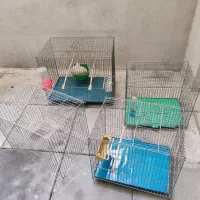 4عدد قفس پرنده