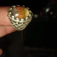 انگشتر نقره با سنگ شجر دریایی زنده