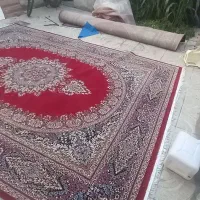 ۵عدد فرش|فرش|اردبیل, |دیوار