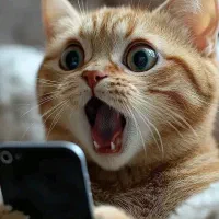 ازدم قسط کیش