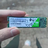 هارد اس اس دی گرین 500 گیگابایت ام ۲