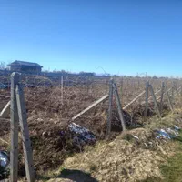 پایه بتنی فنس کشی دور باغ داربست بست انگور|عمده‌فروشی|شال, |دیوار