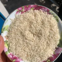 برنج و نیم دانه طارم هاشمی