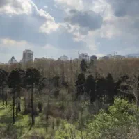 تجریش ۱۰۰ متر دوخواب فول بازسازی تکواحدی
