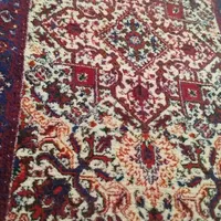فرش پشمی|فرش|زنجان, |دیوار