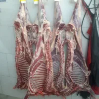 گوشت گوسفندی