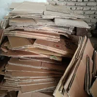 کارتن تخم مرغ