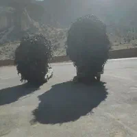 نوارتیپ