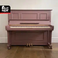 پیانو طرح آکوستیک مدل p225رنگ پاستیلی قیمت تولیدی