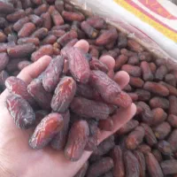 فروشدوتنخرمایدرجهیکخوبقیمتتوافقی