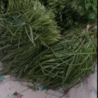 سبزی