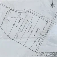 شالیزار