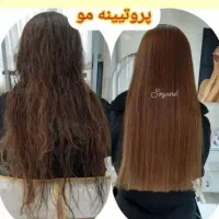 تخفیف۵۰%لاین رنگ واحیاتضمینی|خدمات آرایشگری و زیبایی|تهران, سلسبیل جنوبی|دیوار
