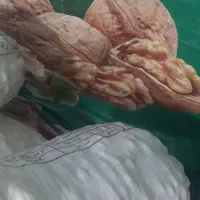 فروش گردو در نمایشگاه|خوردنی و آشامیدنی|بادرود, |دیوار