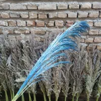 گاله برای تزیین گل