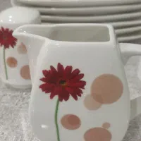 سرویس چینی در حد|ظروف سرو و پذیرایی|پاکدشت, پاکدشت (مامازند)|دیوار