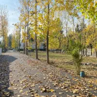 زمین-جنگلی-شهرکی-بخر-بساز-اقساطی