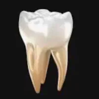 عصب کشی دندان ۴ و ۵  با تعرفه دولتی زیر نظر متخصص