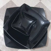 سرویس ارکوپال ۳۰ نفره