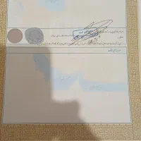 تجاری-بلوار-چمران
