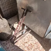 دکه فلافلی|کافیشاپ و رستوران|ایذه, |دیوار