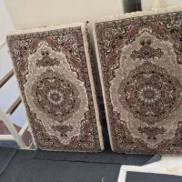 ۸ عدد پشنی  سالم ۲عدد کرم ۶ عدد ابی