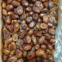 خرما ارزون|حراج|مشهد, سپاد|دیوار