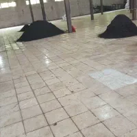 یه تعداد خانم کار در کارخانه چای