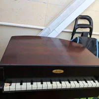 وسایل منزل|ظروف نگهدارنده، پلاستیکی، یک‌بارمصرف|بیرجند, |دیوار