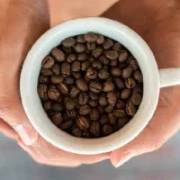 قهوه عمده کف کف قیمت بازار فروش فوری