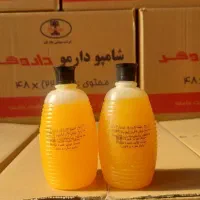شامپو خمره داروگر