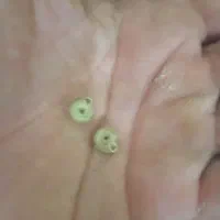 فروش مهره جهره ومهر