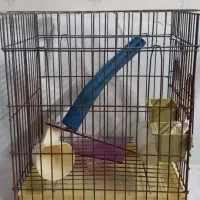 قفس طوطی|لوازم جانبی حیوانات|کرج, فاز ۴ مهرشهر|دیوار