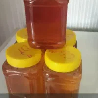 محصولات طبیعی|خوردنی و آشامیدنی|کرمان, |دیوار