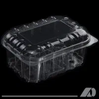 ظرف گوجه چری