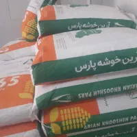 زودرس ترین بذر ذرت خوزستان باقیمت استثنایی|خدمات باغبانی و درختکاری|دزفول, |دیوار