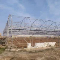 اجاره گلخونه100000