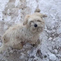 بفروش میرسد