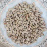پسته سفید /احمد آقایی/