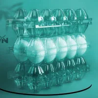 شانه تخم مرغ و شانه تخم بلدرچین سیحون