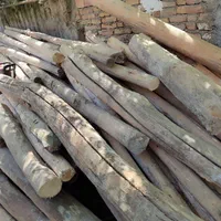 خریدارچوب خشک بامناسبترین قیمت|خدمات باغبانی و درختکاری|پارسآباد, |دیوار