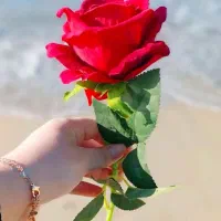 خریدار حواله خودر