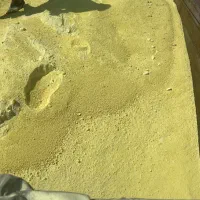 گوگرد پودری و کود سفید