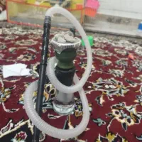 قلیون فروشی نو نو