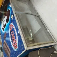 فریزر دانفوس