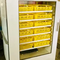 دستگاه جوجه کشی شرکت فاخته M-1008|لوازم جانبی حیوانات|ابهر, |دیوار