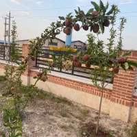 اجاره فوری سوله  با مبلغ مناسب