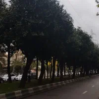 فروش-مغازه-گلسار-بر-اصلی-بلوار-سمیه