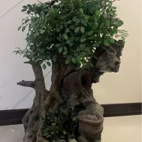 میز و آبنما